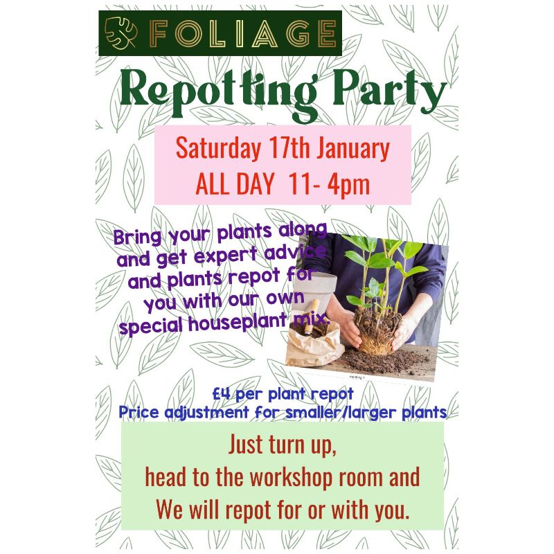 Image representing  from Broadstairs & St. Peters Chamber of Commerce